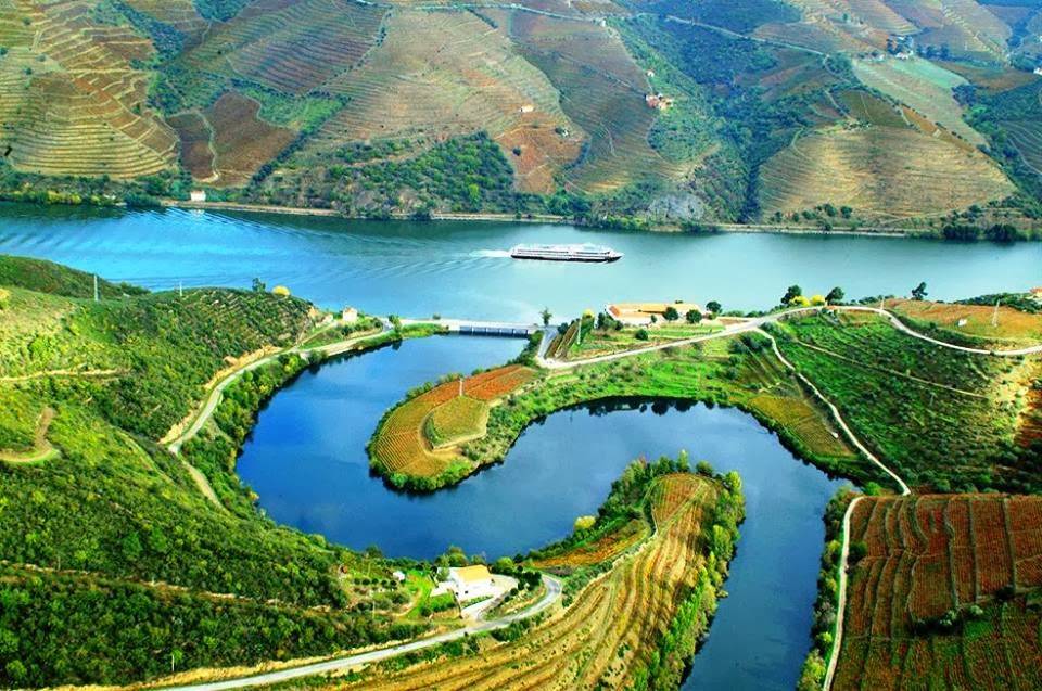 El Duero está lleno de sorpresas... CRUCEROS DUERO CRUCEIROS DOURO DOURO RIVER CRUISES CRUCEROS POR EL DUERO CRUCEROS PORTUGAL CRUCEROS FLUVIALES OTOÑO CRUCEROS FLUVIALES VERANO